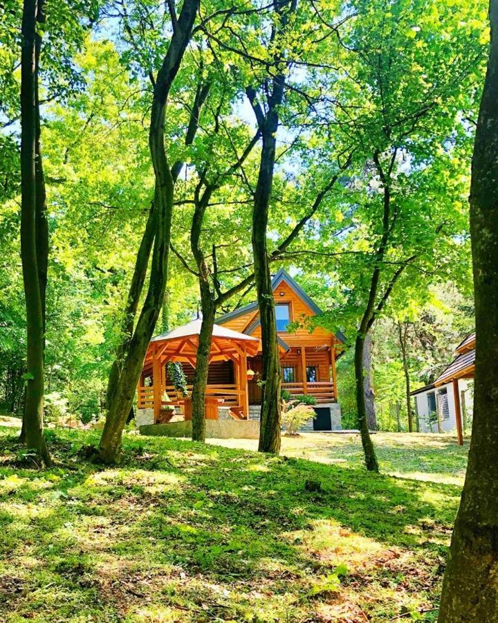 Brvnara Vrsac Villa Bagian luar foto