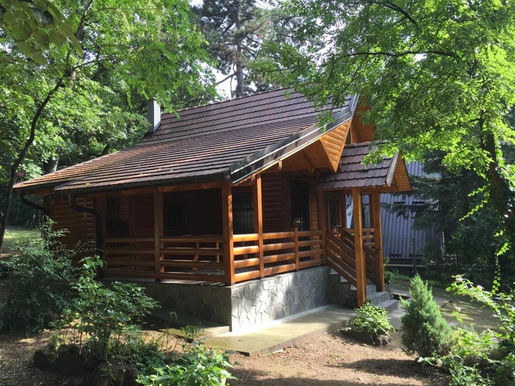 Brvnara Vrsac Villa Bagian luar foto