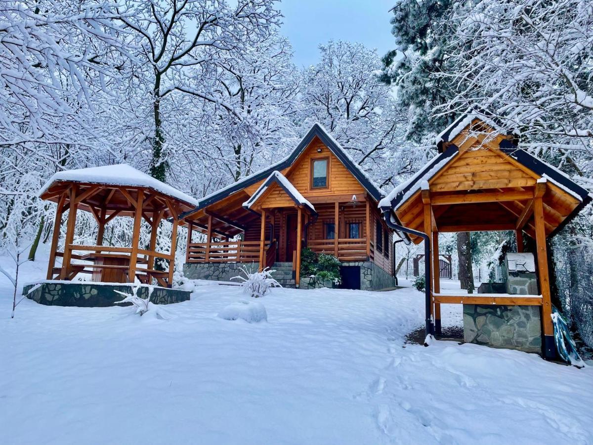 Brvnara Vrsac Villa Bagian luar foto