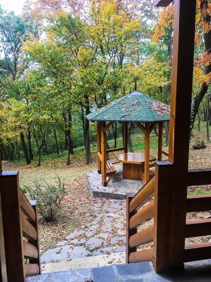 Brvnara Vrsac Villa Bagian luar foto