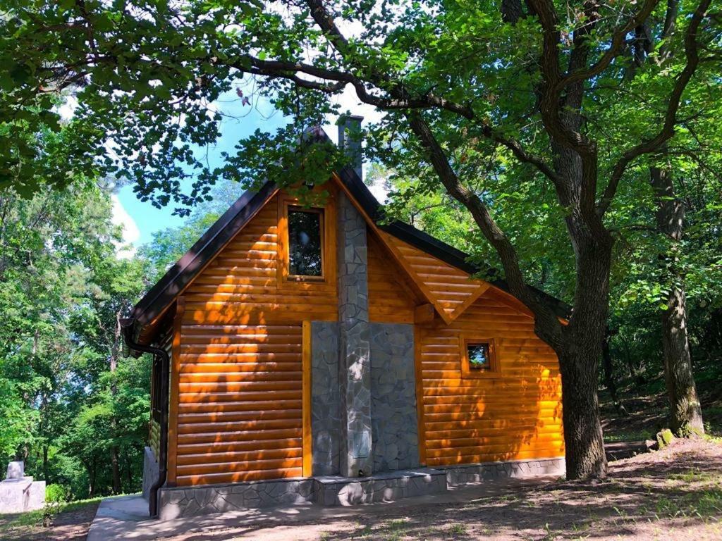 Brvnara Vrsac Villa Bagian luar foto