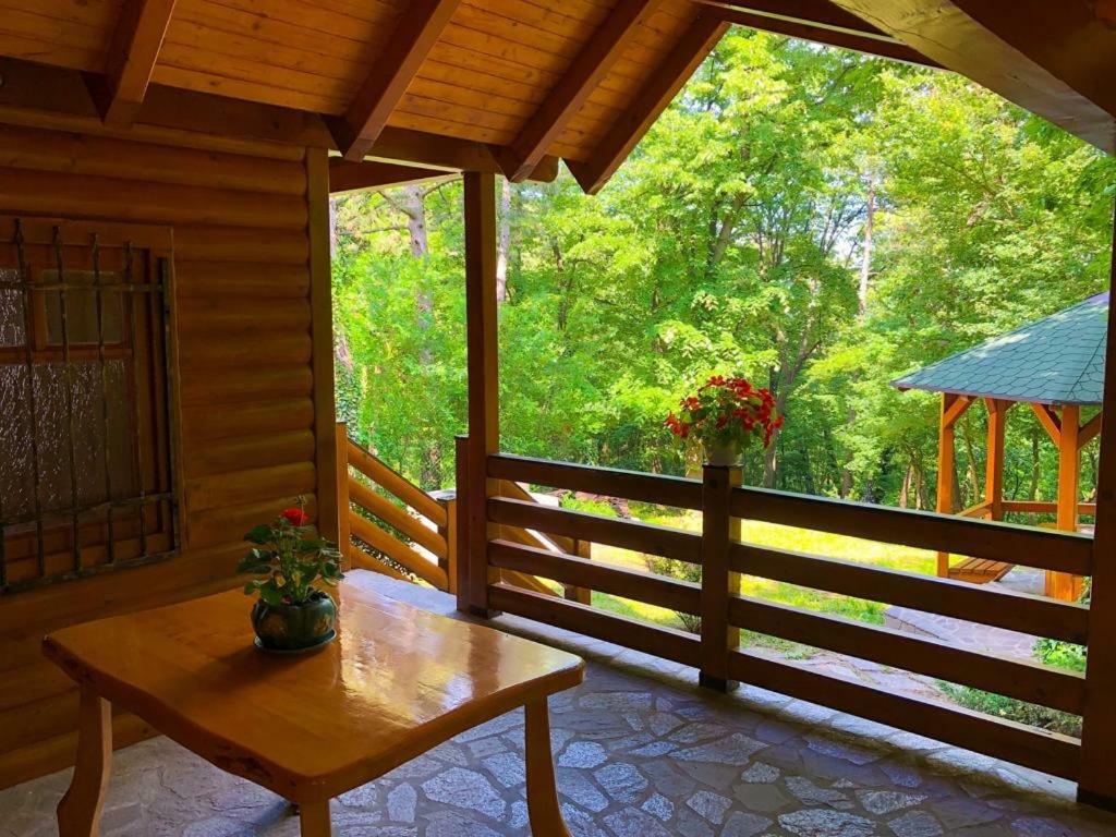 Brvnara Vrsac Villa Bagian luar foto
