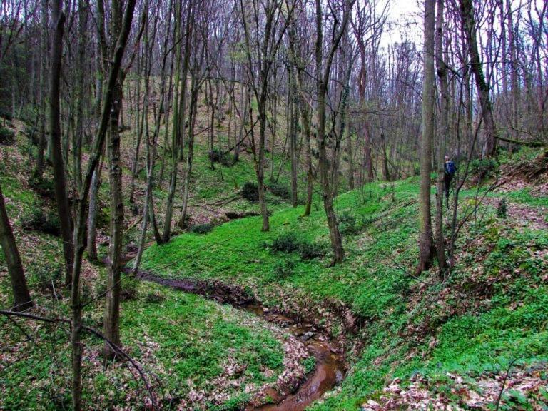 Brvnara Vrsac Villa Bagian luar foto